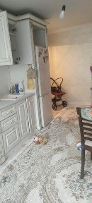 Алматинская область, Отеген батыра