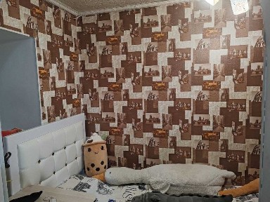 Продам два дома в одном дворе