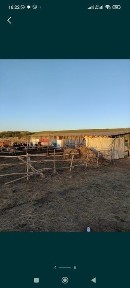 Продам дом, подхозное хозяйства