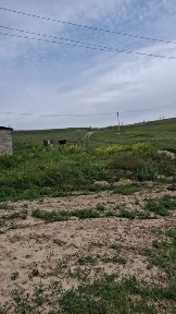 СДАЁТСЯ в аренду фазенда Кірпіш зауыты