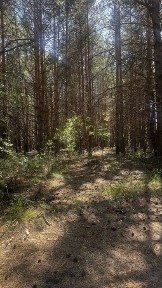 Продам дачу в с/о Куйбышевец