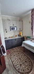 продажа дома с. Садчиковка