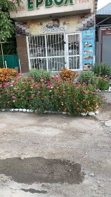 Сдам в аренду магазин под офис