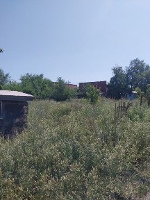 Сдам в аренду навес под Пилораму с участком 50 соток