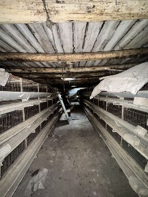 Готовая ферма на 2000 кур с оборудованием | Дом + участок | Срочно