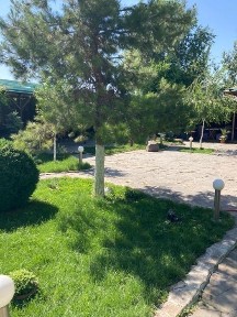 Сдаётся кафе летник в аренду