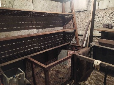 Ячейка в овощехранилище