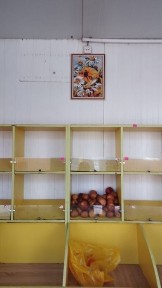 Срочно продам павильон