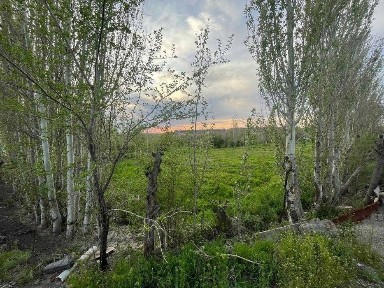 Недвижимость с земельным участком для введения бизнеса