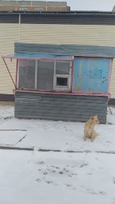 Продается киоск ! Оборудован под ремонт обуви