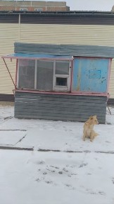 Продается киоск ! Оборудован под ремонт обуви