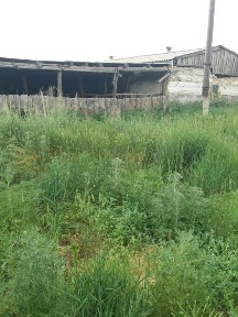 Продам базу бывшего к/х, площадь 1.5 га, свет 3 фазы