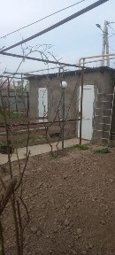 Туркестанская область, Сауран