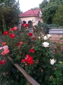 Квартира коттедж бассейн сауна посуточно