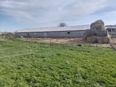2 үй 3 қорасымен сатылады.