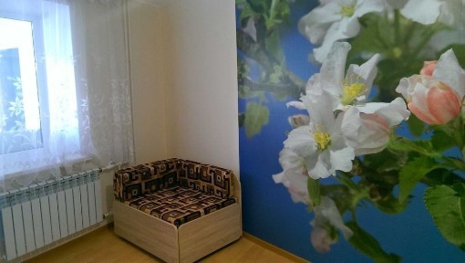 Квартира в Боровом однокомнатная