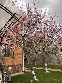 Алматинская область, Кыргауылды