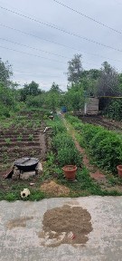 Продам дом в дачном участке