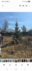 Продам дачу или сдам с последующим выкупов