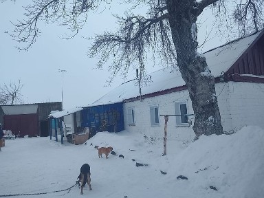 Павлодарская область, Павлодар