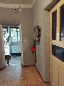 Дом с участком 8 соток, есть баня, сараи, навес для авто