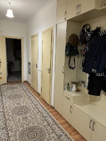 Кызылординская область, Алмалы