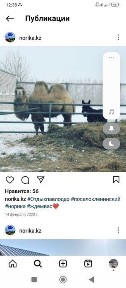 Сдам дом отдыха.