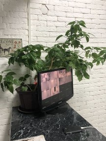 Алматинская область, Алматы, Турксибский район
