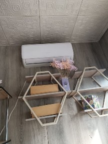 Сдам студию цветов