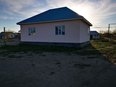Актюбинская область, Актобе, Акация