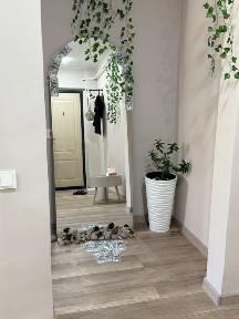Сдам в аренду рабочее место для мастера