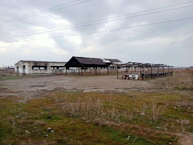 Құлагер мал базары сатылады