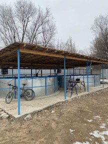 Частный дом с бизнесом, разведение рыбы
