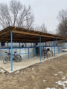 Частный дом с бизнесом, разведение рыбы