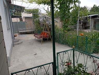 Туркестанская область, Шымкент, Туран