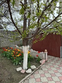 Продаётся дом в центре города
