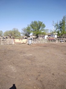Уй сатылады, Байсын ауылы