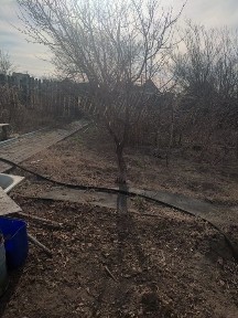 Продается Дача 2 этажная огородом