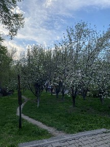 Продам Дом большой
