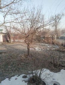 Продам дом Балтабай