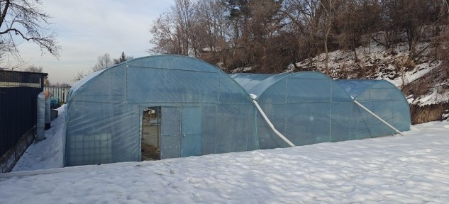 Сдается в аренду теплица 400 м2 аренда теплица