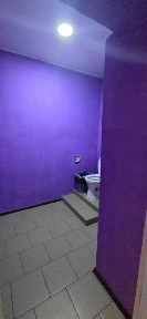 Свободное назначение · 491 м² Толстого 28
