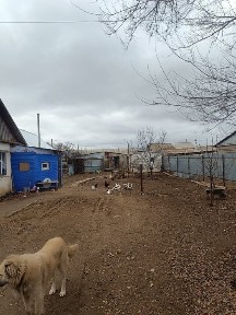Продам дом 3-х комнатную 5 соток земли