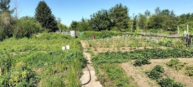 Продам дачу по улице Цветочной. Середина садоводства.