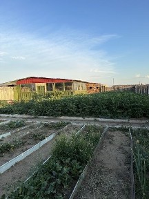 Продам, Частный дом со всеми условиями и удобствами. !
