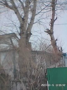 Акмолинская область, Степногорск