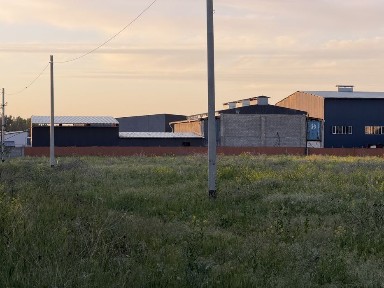 Алматинская область, Береке