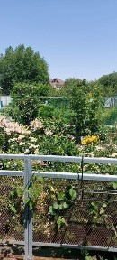 Атырауская область, Атырау, Авангард