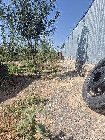 Времянка 3 комнатная село Кошмамбет