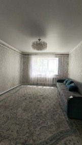 Акмолинская область, Дамса